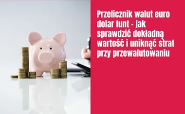 Obraz do artykułu: Przelicznik walut euro/dolar funt – jak sprawdzić dokładną wartość i uniknąć strat przy przewalutowaniu