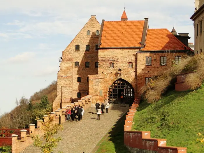 Kino pod gwiazdami: Leśne Kino w CEE już w piątek