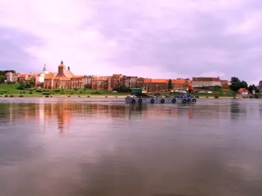 Projekt 4 Łapy rusza w Grudziądzu – bezpłatne sterylizacje kotów wolno żyjących