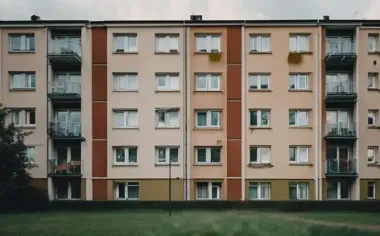 ASF wraca w powiecie grudziądzkim. Trzy kolejne ogniska u odstrzelonych dzików