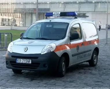 Wiosenne porządki skończą się mandatem - Straż Miejska przypomina o karach