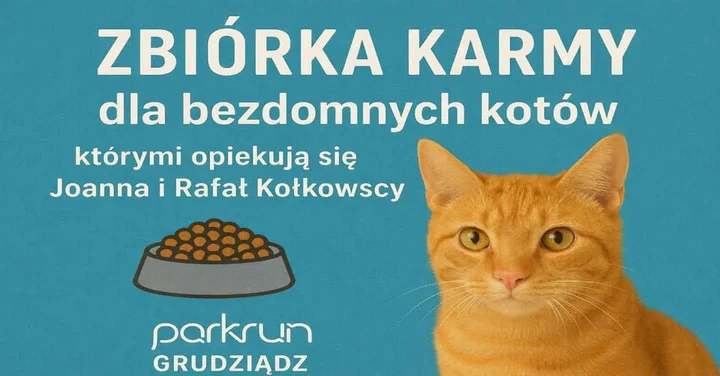 Grafika promocyjna wydarzenia parkrun Grudziądz #306 — Świąteczna zbiórka kociej karmy