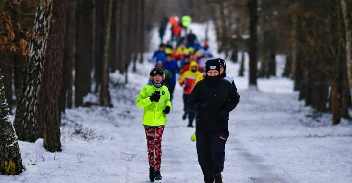 Grafika promocyjna wydarzenia parkrun Grudziądz #311 — 31 stycznia (sobota), 5 km w Lesie Komunalnym