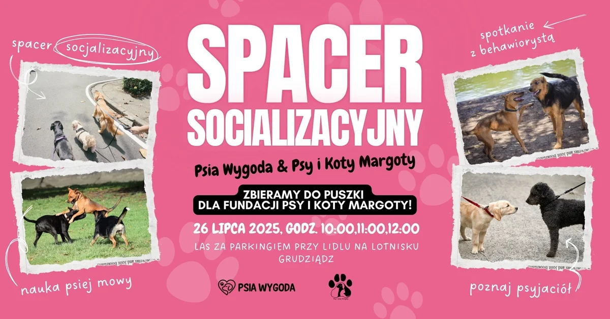 Grafika promocyjna wydarzenia Spacer socjalizacyjny dla opiekunów i psów w Grudziądzu