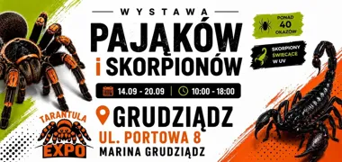 TARANTULA EXPO – wystawa pająków