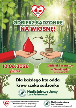 Krew za sadzonkę. W Grudziądzu akcja łączy pomoc i zieleń